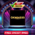 OKWIN333
